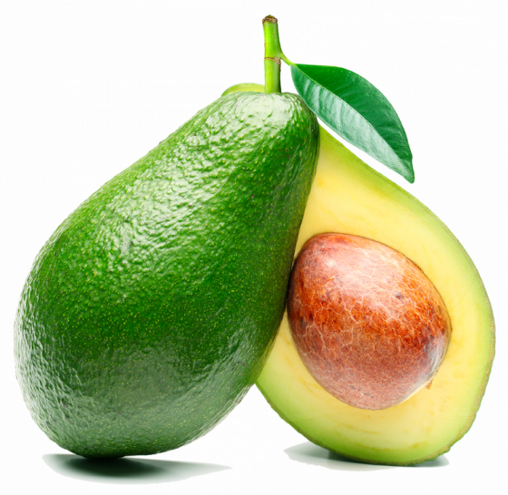 avocat